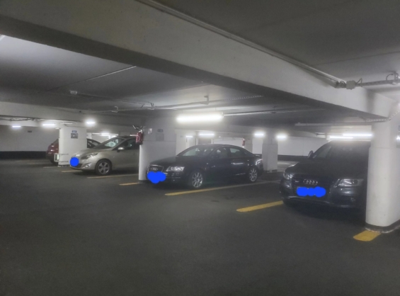 1639289661784801983.jpg